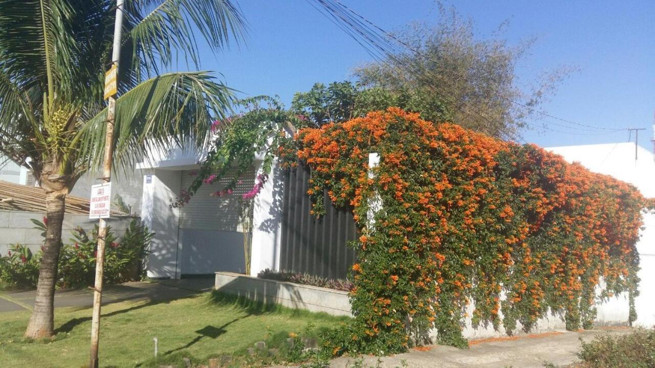 đồi Sao